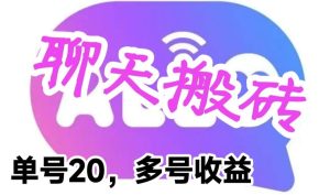 最新蓝海聊天平台手动搬砖，单号日入20，多号多撸，当天见效益