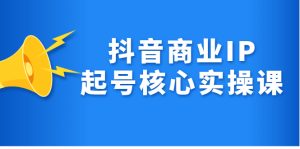 抖音商业IP起号核心实操课，带你玩转算法，流量，内容，架构，变现