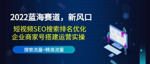 2022蓝海赛道，新风口：短视频SEO搜索排名优化 企业商家号搭建运营实操