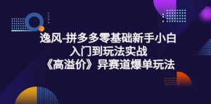 拼多多零基础新手小白入门到玩法实战《高溢价》异赛道爆单玩法实操课