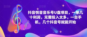 抖音音乐号U盘项目 一单几十利润 无需投入太多 一台手机 几个抖音号就开始