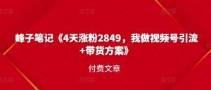 峰子笔记《4天涨粉2849，我做视频号引流 带货方案》付费文章