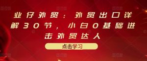 业仔外贸：外贸出口详解30节，小白0基础进击外贸达人 价值666元