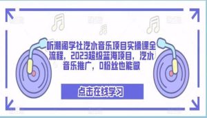 听潮阁学社汽水音乐项目实操课全流程，2023超级蓝海项目，汽水音乐推广，0粉丝也能做