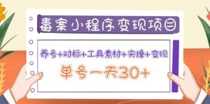 毒案小程序变现项目：养号 对标 工具素材 实操 变现