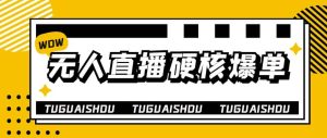 大飞无人直播硬核爆单技术，轻松玩转无人直播