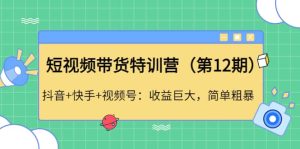 短视频带货特训营（第12期）抖音 快手 视频号