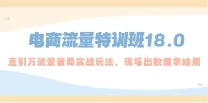 电商流量特训班18.0，直引万流量破局实操玩法，现场出数据拿结果