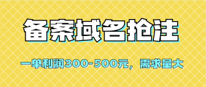 【全网首发】备案域名抢注，一单利润300-500元，需求量大