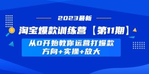 淘宝爆款训练营【第11期】 从0开始教你运营打爆款，方向 实操 放大