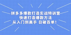 拼多多爆款打造实战特训营：快速打造爆款方法，从入门到高手 日破百单