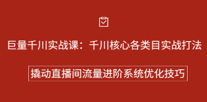 巨量千川实战系列课：千川核心各类目实战打法，撬动直播间流量进阶系统优化技巧