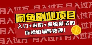 月入过万闲鱼副业项目：入门 进阶 高级模式的保姆级辅导教程