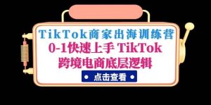 TikTok商家出海训练营：0-1快速上手 TikTok跨境电商底层逻辑(无水印)