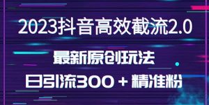 日引300＋创业粉，独家抖音高效截流2.0玩法（价值1280）