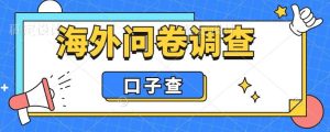 外面收费5000 海外问卷调查口子查项目，认真做单机一天200