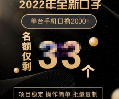 2022年全新口子，手机批量搬砖玩法，一部手机日撸2000