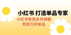 某公众号付费文章《小红书 打造单品专家》小红书有很多月销额到百万的单品