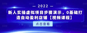 新人实操虚拟项目步骤演示，0基础打造自动盈利店铺【视频课程】