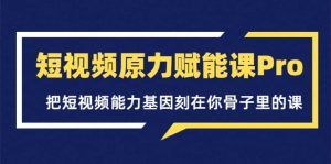 短视频原力赋能课Pro，把短视频能力基因刻在你骨子里的课（价值4999元）