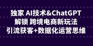 独家 AI技术ChatGPT解锁 跨境电商新玩法，引流获客 数据化运营思维