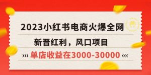 2023小红书电商火爆全网，新晋红利，风口项目，单店收益在3000-30000