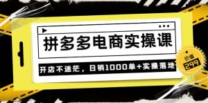 《拼多多电商实操课》开店不迷茫，日销1000单 实操落地（价值299元）