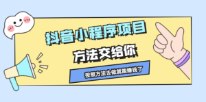 抖音小程序项目，方法交给你，按照方法去做就行了