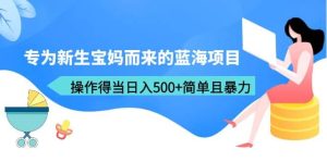 专为新生宝妈而来的蓝海项目，操作得当日入500 简单且暴力（教程 工具）