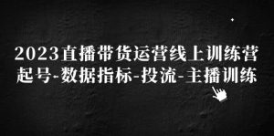 2023直播带货运营线上训练营，起号-数据指标-投流-主播训练