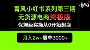 小红书无货源电商爆单终极版【视频教程 实战手册】保姆级实操从0起店爆单