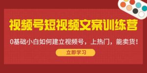 视频号短视频文案训练营：0基础小白如何建立视频号，上热门，能卖货！