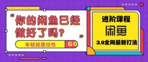 火爆全网的咸鱼玩法进阶课程，咸鱼进阶课程