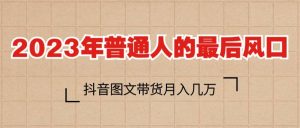 2023普通人的最后风口，抖音图文带货月入几万