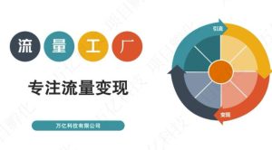 收费3980的流量工厂回粉项目，号称1个粉10元【详细玩法教程解析】