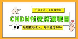 CNDN付费资源项目，不用引流，无需做客服，后期被动收入