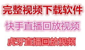 快手直播回放视频/虎牙直播回放视频完整下载(电脑软件 视频教程)