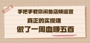 2022版《手把手教你闲鱼店铺运营》真正的实操课做了一周血赚五百(16节课)