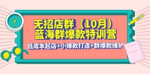 无招店群·蓝海群爆款特训营(10月新课) 低成本起店 小爆款打造 群爆款维护