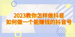 2023教你怎样做抖音，如何做一个能赚钱的抖音号（22节课）