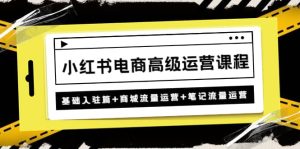 小红书电商高级运营课程：基础入驻篇 商城流量运营 笔记流量运营