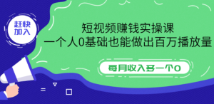 短视频赚钱实操课，一个人0基础也能做出百万播放量，每月收入多一个0