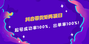 抖音带货矩阵项目，起号成功率100%，出单率100%！