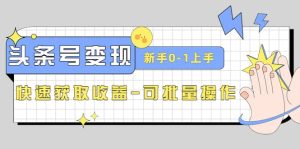 2023头条号实操变现课：新手0-1轻松上手，快速获取收益-可批量操作