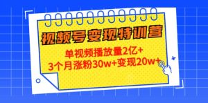 20天视频号变现特训营：单视频播放量2亿