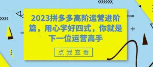 2023拼多多高阶运营进阶篇，用心学好四式，你就是下一位运营高手