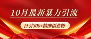 10月最新暴力引流，日引300+精准创业粉