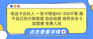 号卡合伙人 一张佣金60-300不等 自动结算 绿色安全