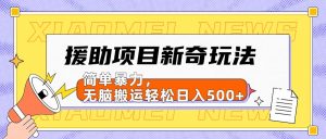 援助项目新奇玩法，简单暴力，无脑搬运轻松日入500+【日入500很简单】