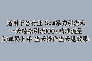 适用于各行业，Soul暴力引流术，一天轻松引流100+精准流量，简单易上手 当天操作当天见效果!